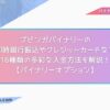 ブビンガバイナリーの即時銀行振込やクレジットカードなど16種類の多彩な入金方法を解説！【バイナリーオプション】