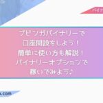 ブビンガバイナリーで口座開設をしよう！使い方も簡単に解説！バイナリーオプションで稼いでみよう♪